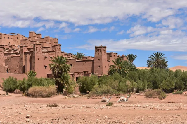 Earthen towers of Ait Ben Haddou behind palm trees under a cloudy sky