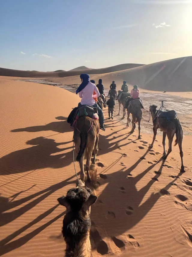 Caravane de dromadaires traversant les dunes, vue depuis la selle