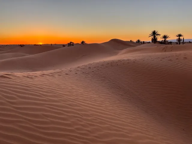 Sol poniéndose tras dunas onduladas y algunas palmeras